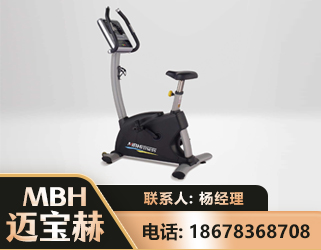 石嘴山立式健身车